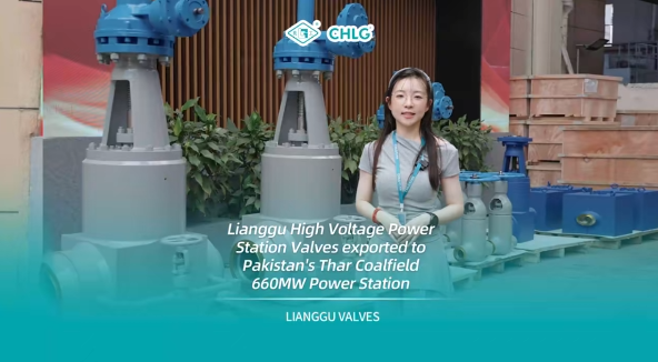 跨越萬里 共筑光明——良固高壓電站閥出口巴基斯坦塔爾煤電一體化項目